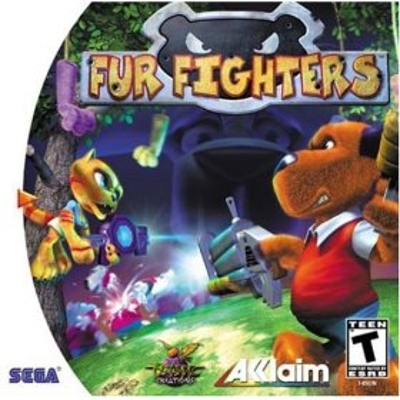 Poster Fur Fighters